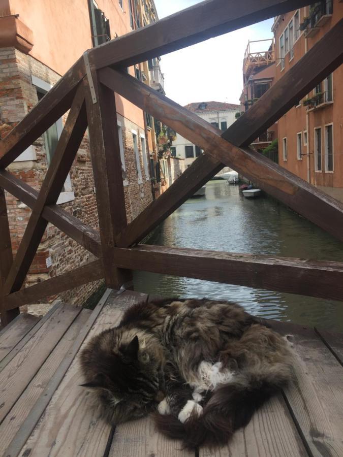 Mori 1 Con Bella Vista Nuovo Appartamento Venedig Eksteriør billede